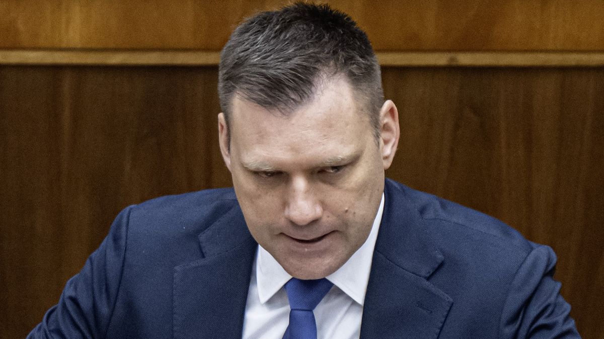 Taraba Česko v Bruselu nezastupuje. Nápad s někdejším Kotlebovcem Turkovi neprošel